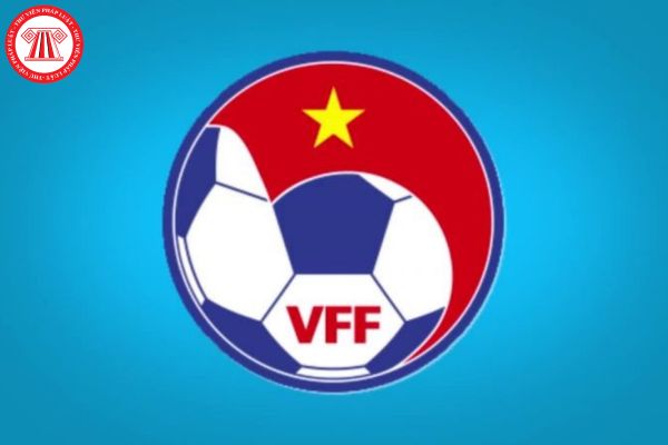 Tầm quan trọng của VFF 